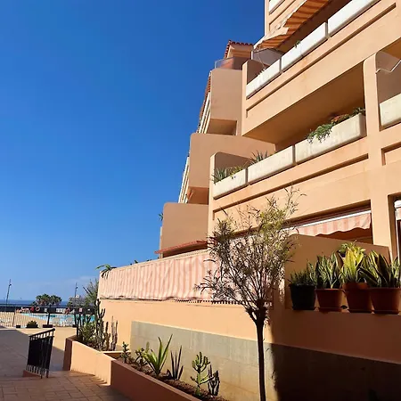 Seres Los Cristianos (Tenerife)